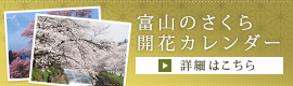 富山のさくら開花カレンダー