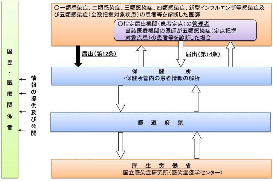 感染症発生動向調査実施体制図（患者情報）