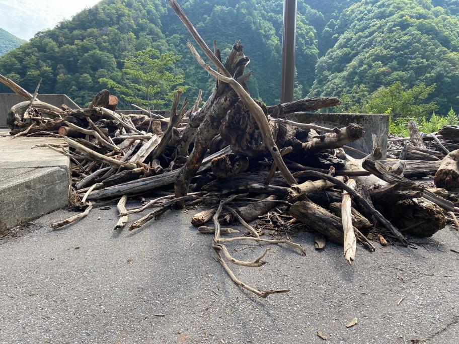 ryuboku2_0726