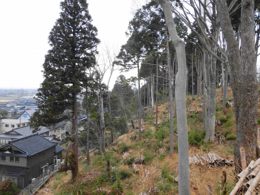 里山再整備事業