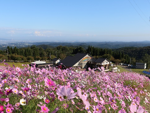 となみ夢の平スキー場