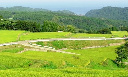 長坂の棚田（俯瞰景）