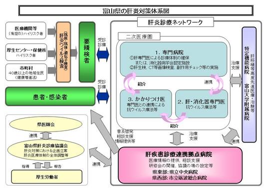 富山県の肝炎対策体系図