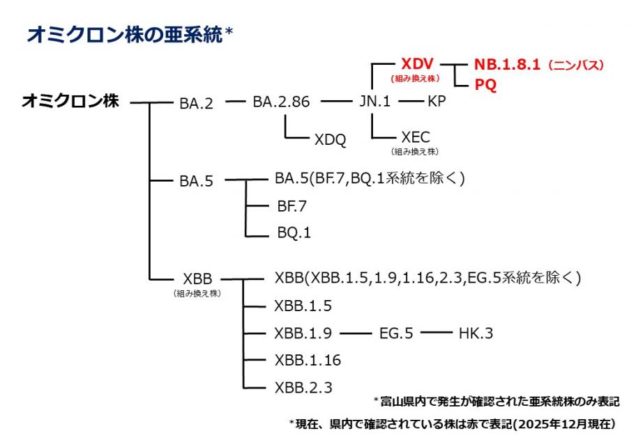 富山県／新型コロナウイルスゲノム解析検査状況