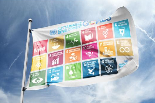 SDGsシンボル旗