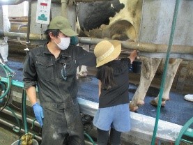 R7黒部市酪農体験