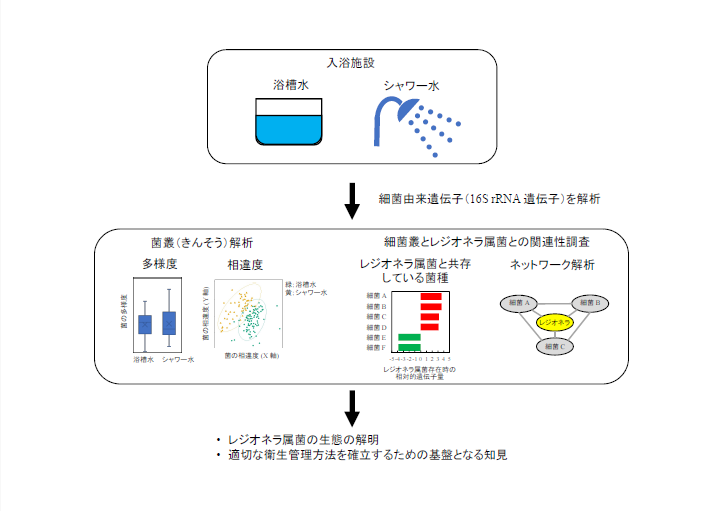 Legionella