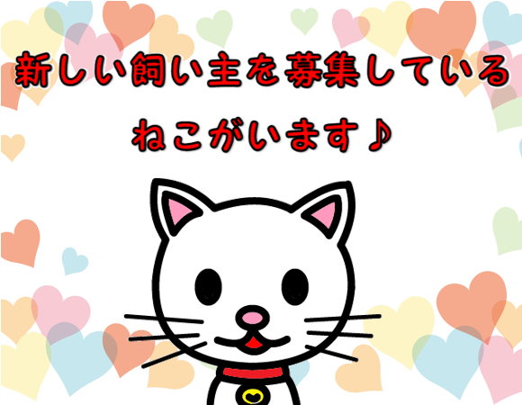 保護ねこの新しい飼い主さん募集中