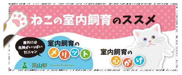 ねこの室内飼育のススメ