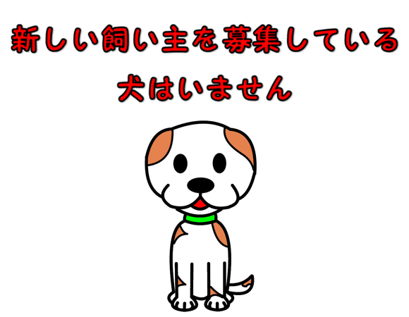 保護犬の譲渡情報（なし）