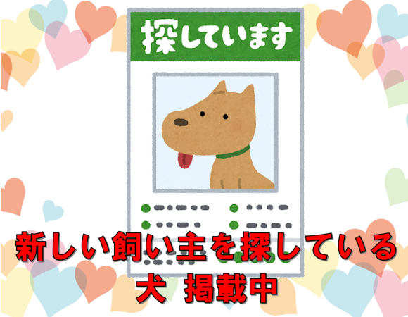 仲介犬掲載あり