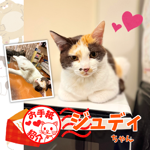 飼い主さんからのお手紙紹介「ジュディちゃん」