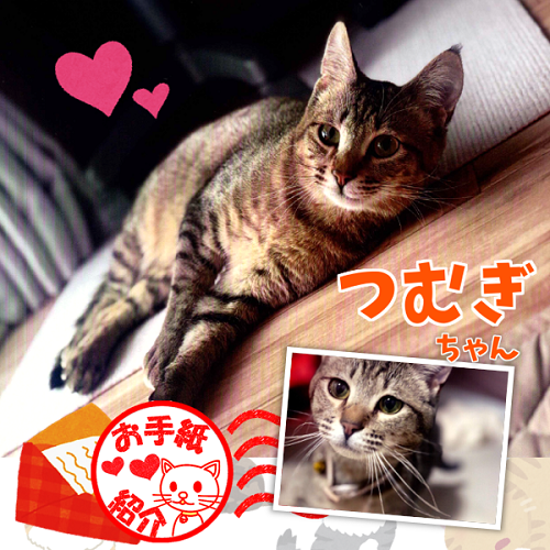 我が家のアイドル「つむぎちゃん」