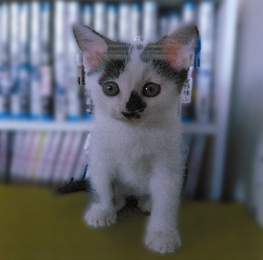 仲介ねこc07005