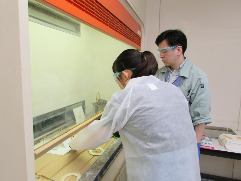 分析実習（高校生）