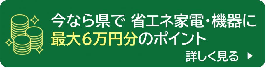 今なら県で最大6万円分のポイント
