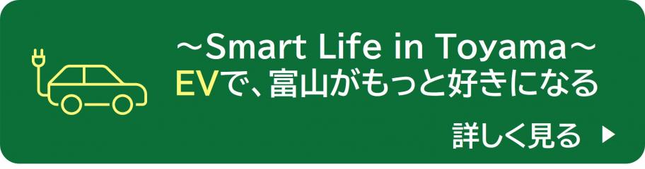 EVの普及について