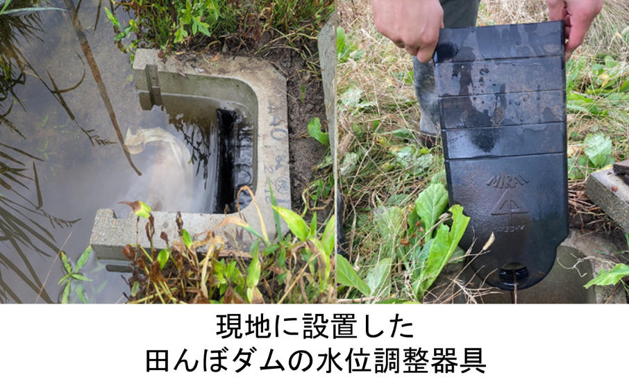 田んぼダム実証試験の様子2