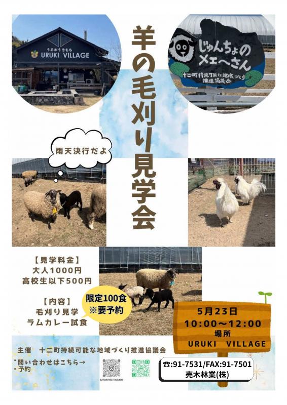 羊の毛刈り