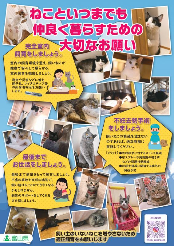 猫の適正飼育ポスター