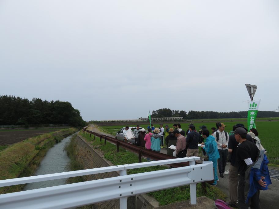 みどり1
