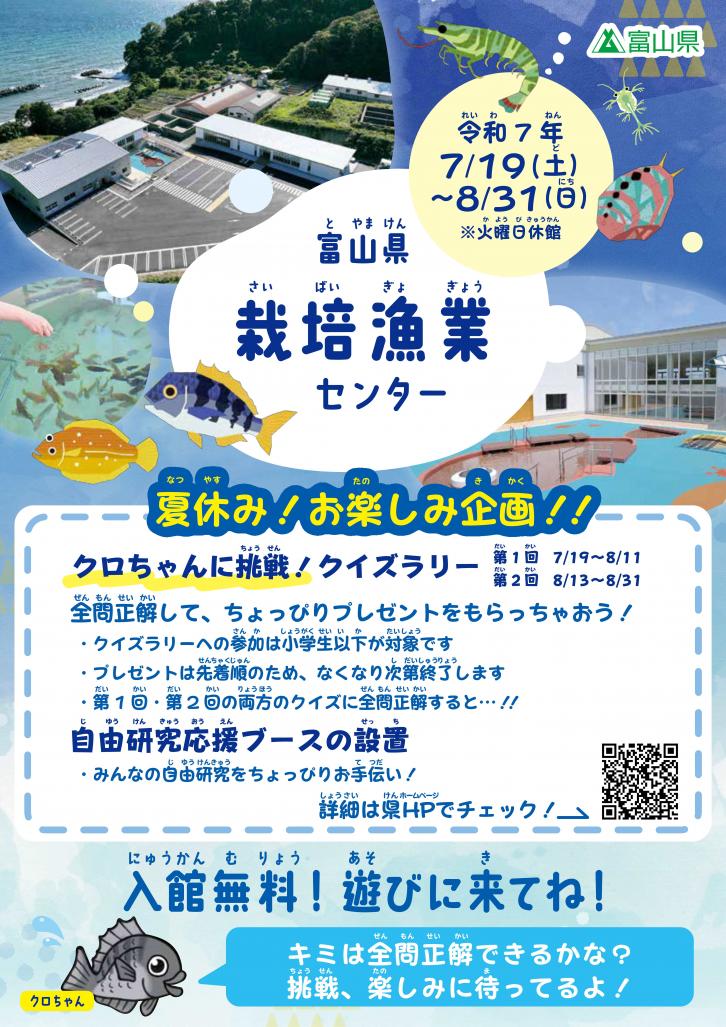 チラシ表
