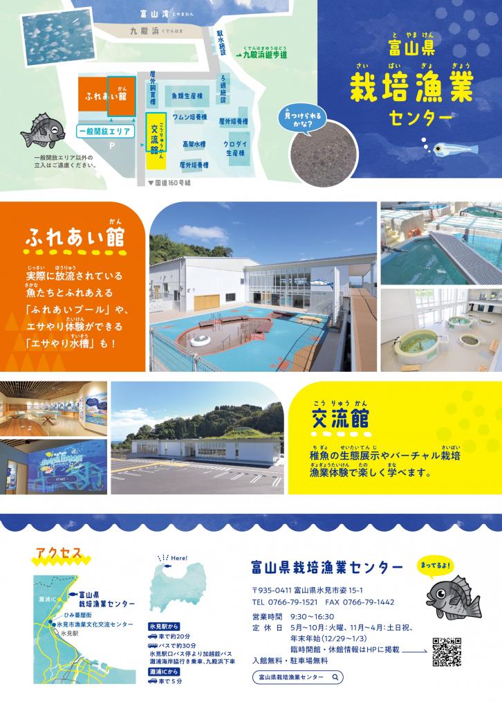 チラシ2026裏