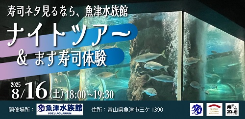 ナイトツアー画像