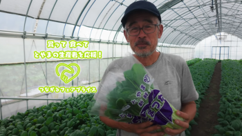 SUN農場