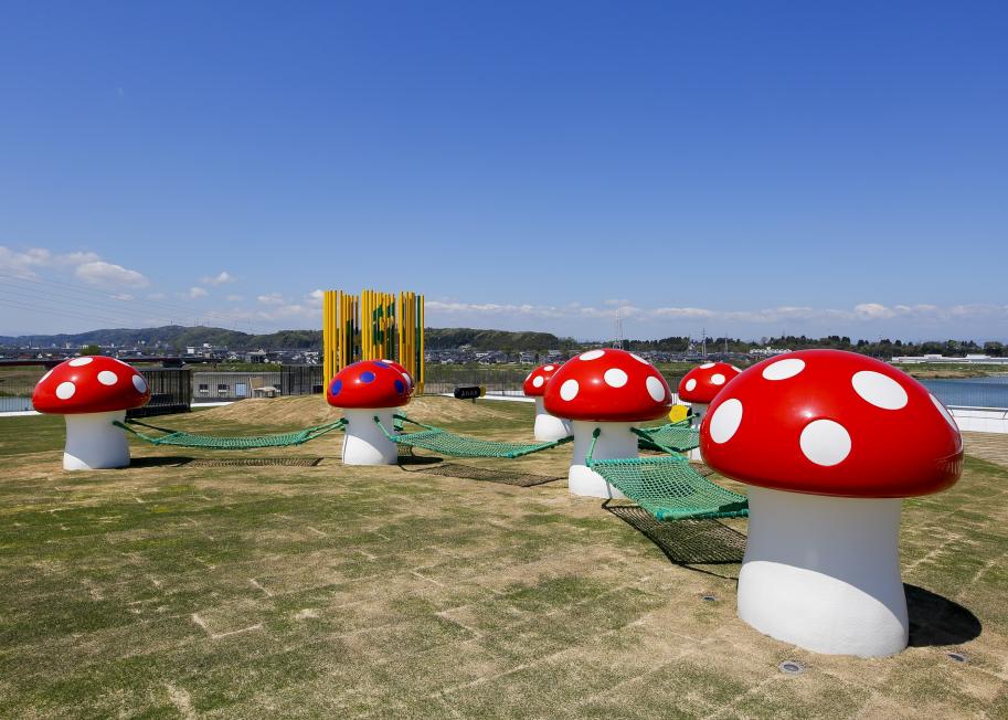 県美２
