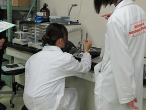 tomidai3