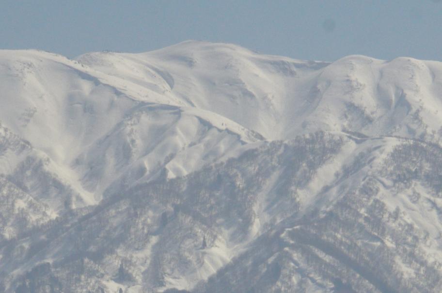 僧ヶ岳の雪形の変遷1