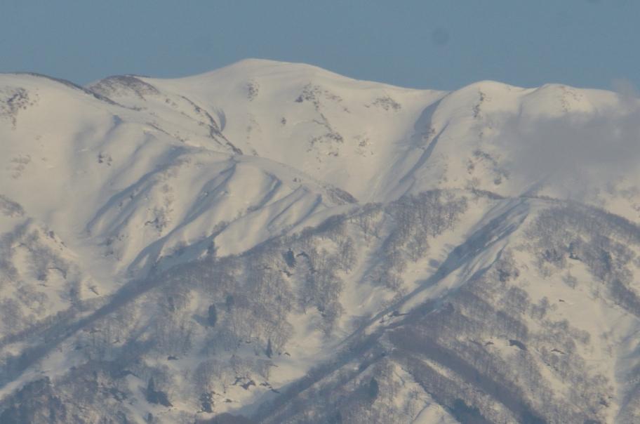 僧ヶ岳の雪形の変遷2