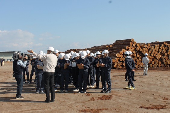 参考写真（製材工場）