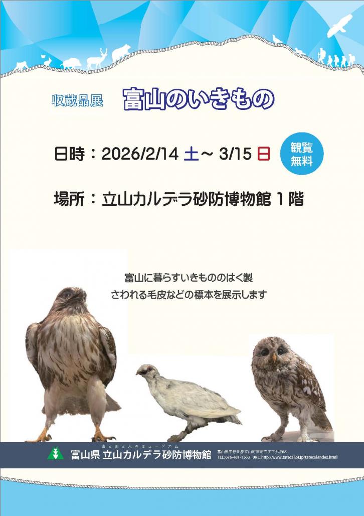 収蔵品展チラシ画像