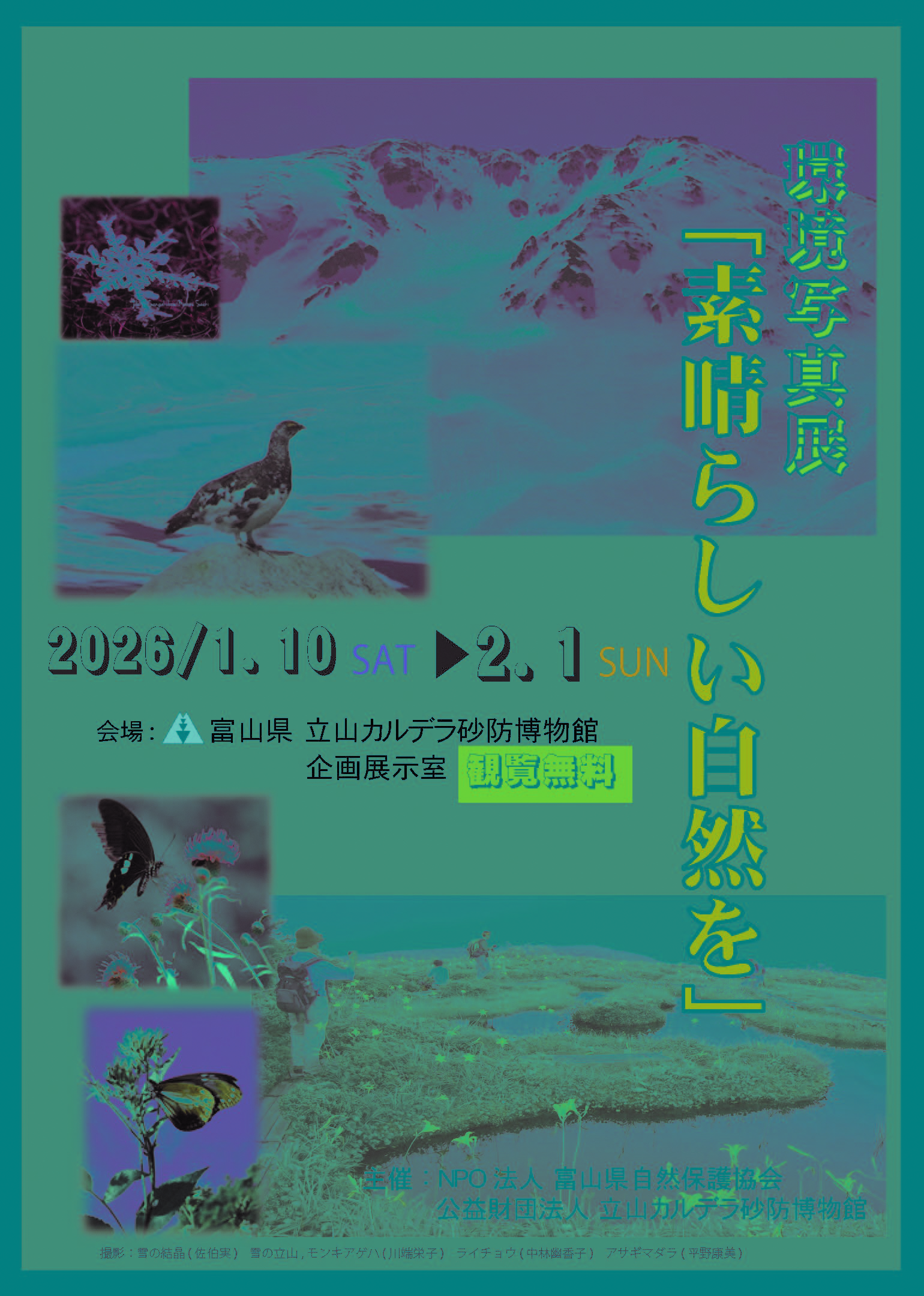 写真展開催案内チラシ