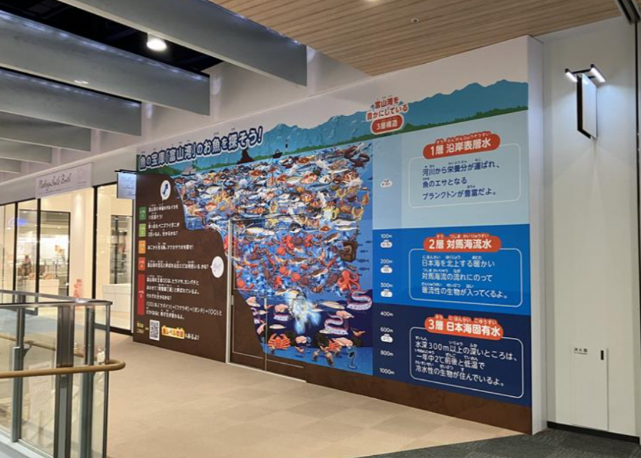 富山湾からの挑戦状