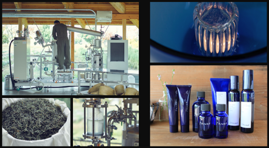 ヘルジアンウッド2