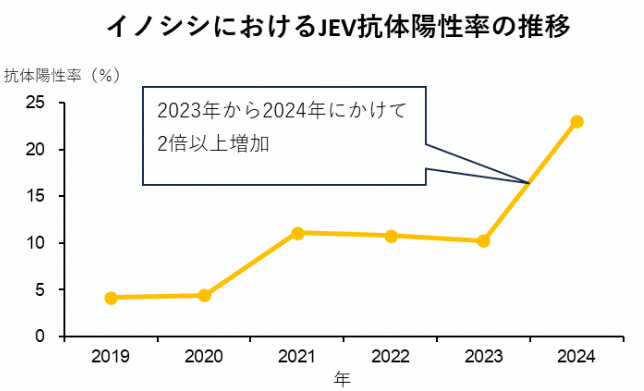 20260203-1