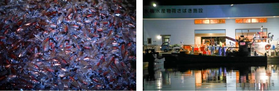 水橋ツアー（イメージ）