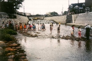 いたち川のドンドコ下流の浅瀬で遊ぶ子供たち
