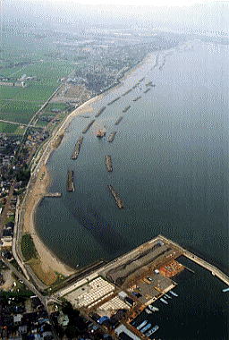 上空から見た四方打出海岸の写真