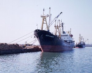 原木を積んだ貨物船が係留する東1,2号岸壁