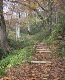 遊歩道