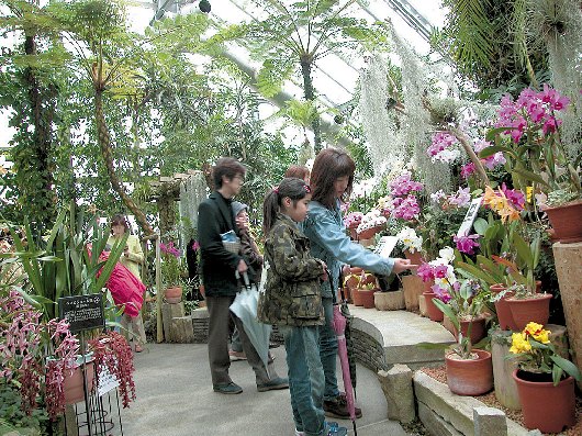 富山県 47 富山県中央植物園 富山市