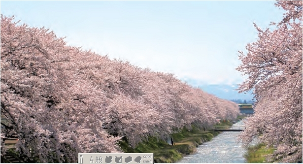 舟川をはさむ満開の桜