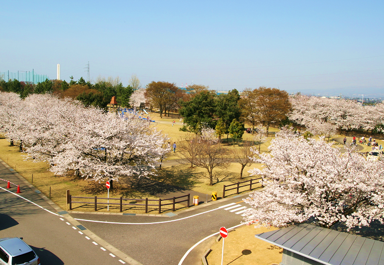 常願寺川公園全体