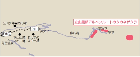 立山黒部アルペンルートの地図