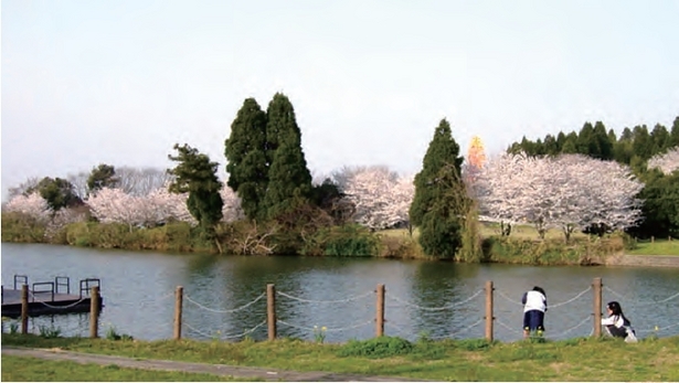 ファミリー パーク 市 富山