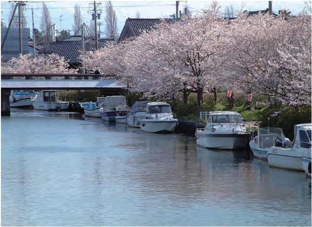 停泊する船舶と川沿いの桜の様子